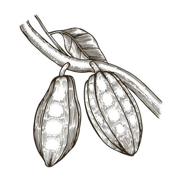 Cupuacu maslo 100% Bio Alteya 80g