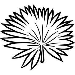 Karnaubský vosk 100% Bio Alteya 60 g