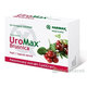 FARMAX UroMax Brusnica na močové cesty 20 kapsúl