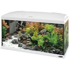 Ferplast CAPRI 80 LED WHITE sklenené akvárium s LED lampou, vnútorným filtrom a ohrievačom