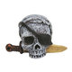 Happet dekorácia do akvária lebka piráta 6cm