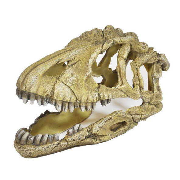 Happet dekorácia do akvária lebka dinosaura 17cm