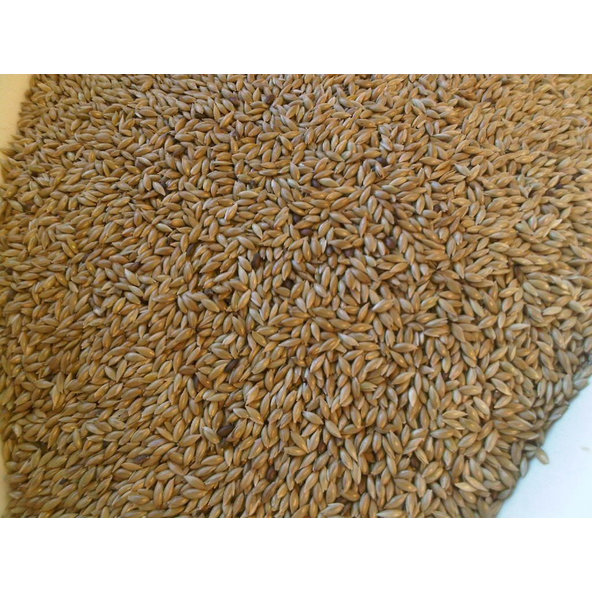 AVICENTRA lesknica kanárska pre exotické vtáctvo 25 kg