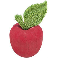 TRIXIE drevené jablko pre hlodavce 5,5 × 9cm