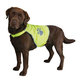 Trixie Safety vest, reflective, XL: 47 cm