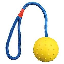 E-shop Trixie Ball on a rope, natural rubber, ř 6/30 cm