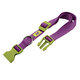 Ferplast CLUB C20/56 COLOU.COLLAR PURPL