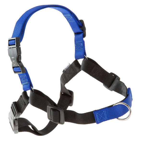 Ferplast COACH P M-L HARNESS BLUE
