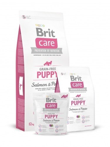 E-shop BRIT Care Brit Care GF Puppy Salmon & Potato 12 kg (ružová)DOPREDAJ