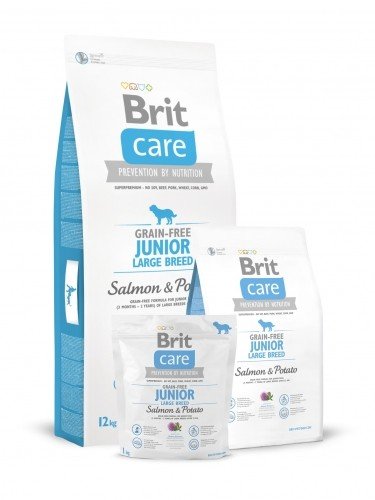 E-shop BRIT Care Brit Care GF Junior Large Salm/Potato 3 (bledomodrá)