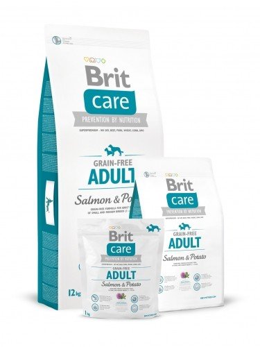 E-shop BRIT Care Brit Care GF Adult Salmon & Potato 12 kg (tyrkysová)