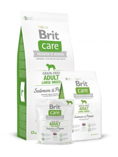 E-shop BRIT Care Brit Care GF Adult Large Salm/Potato 12kg (jablková)