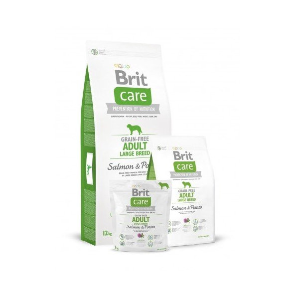BRIT Care Brit Care GF Adult Large  Salm/Potato 12kg (jablková)
