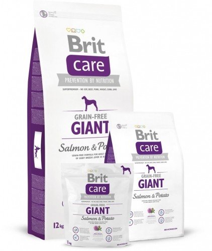 E-shop BRIT Care Brit Care GF Giant Salmon & Potato 12 kg (fialová)