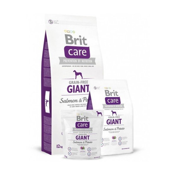 BRIT Care Brit Care GF Giant Salmon & Potato 1 kg (fialová)