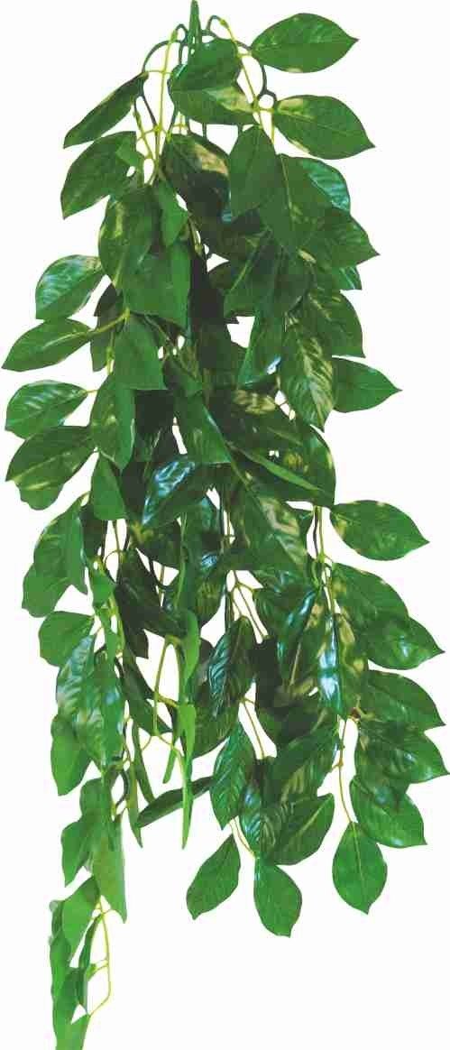 E-shop Happet FICUS 50cm - plastová rastlina do terária