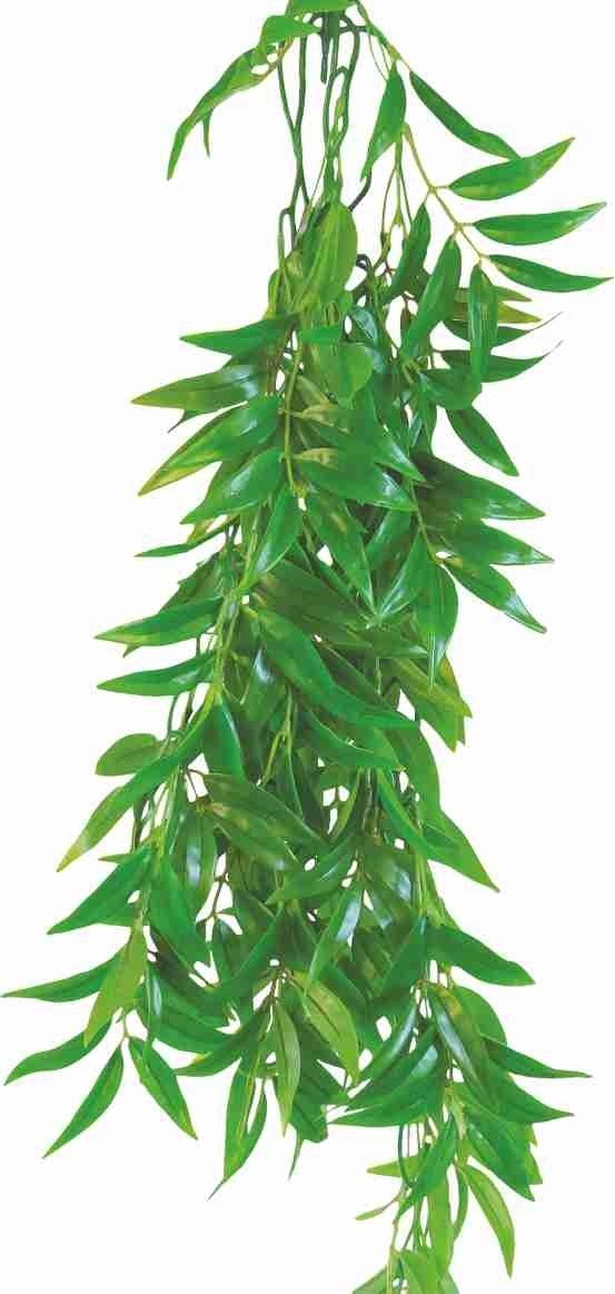 E-shop Happet FICUS LONGIFOLIA 50cm - plastová rastlina do terária