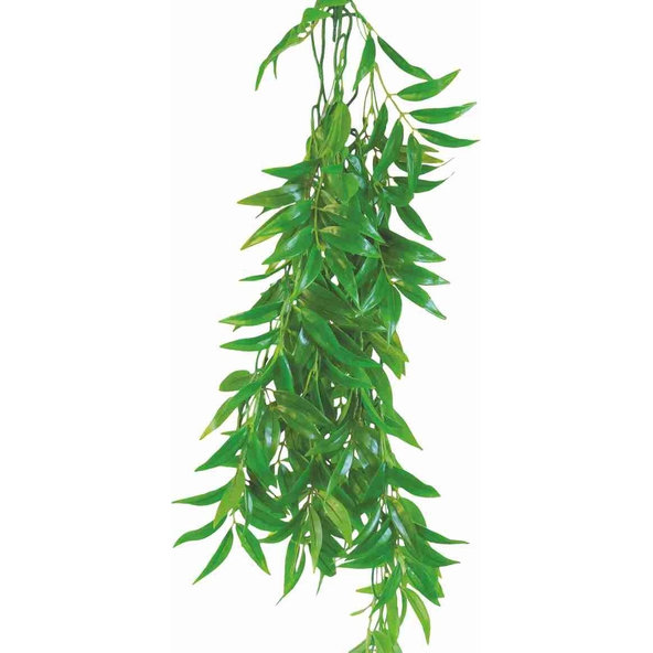 Happet FICUS LONGIFOLIA 50cm - plastová rastlina do terária
