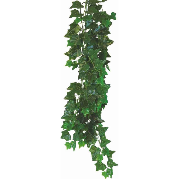 Happet HEDERA HELIX 50cm - rastlina do terária