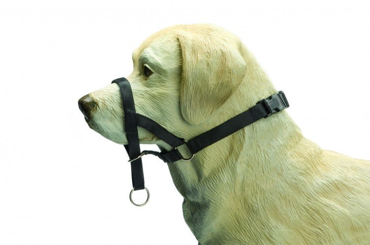 E-shop Beeztees DOG CONTROL 2 ohlávka na psa 24cm