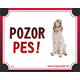HP product for Happy Pets Tabulka POZOR PES  - irsky seter