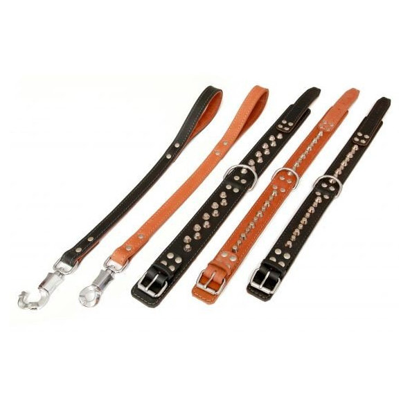 HP product for Happy Pets HP obojok MOLOSS kužele 2R 55cm cierna