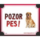 HP product for Happy Pets Tabulka POZOR PES  - zlaty retriever