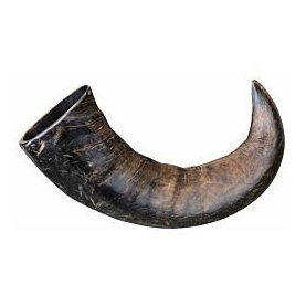Trixie Natural buffalo (bovine) chewing horn, large