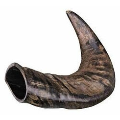 Trixie Natural buffalo (bovine) chewing horn, medium