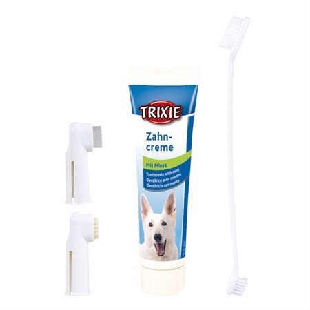 E-shop Trixie Dental hygiene set, dog, 100 g