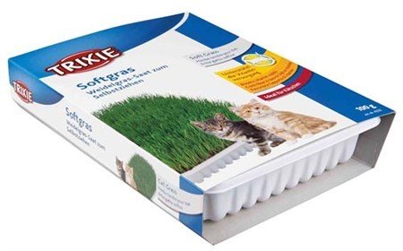 E-shop Trixie Soft grass, bowl/approx. 100 g