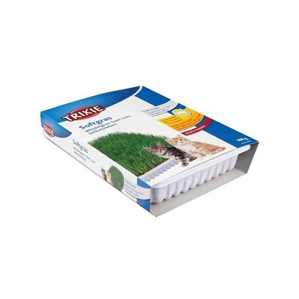 TRIXIE Soft grass tráva pre mačky 100g