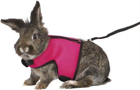E-shop Trixie Soft harness with leash, large rabbits, 25–40 cm, 1.20 m