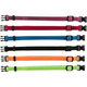 Trixie Junior Set of puppy collars, S–M: 17–25 cm/10 mm, 6 pcs., black, red, royal blue
