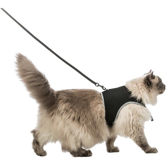 E-shop Trixie Soft harness cat, with leash XXL, 36–54 cm, 1.20 m, black