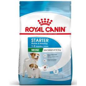 Royal Canin SHN MINI STARTER M&B granule pre gravidné sučky malých plemien a ich šteňatá 4kg