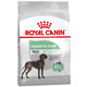 Royal Canin CCN Maxi Digestive Care granule pre psy 3kg