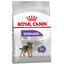 Royal Canin CCN Mini Sterilised granule pre malé kastrované psy 1kg