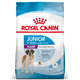 Royal Canin SHN GIANT JUNIOR granule pre mladých psov obrích plemien 15kg