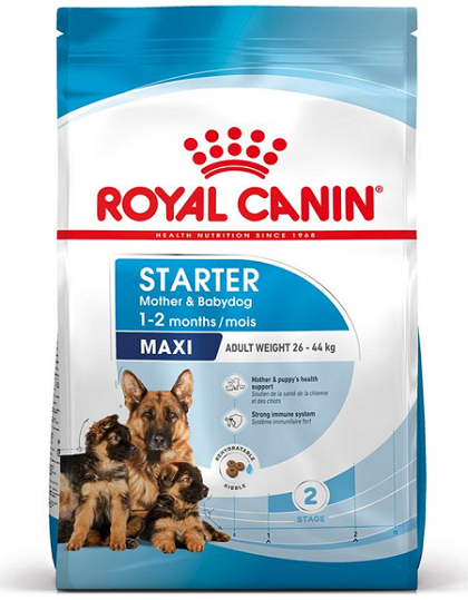 E-shop Royal Canin SHN MAXI STARTER M&B granule pre psy 4kg