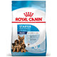 Royal Canin SHN MAXI STARTER M&B granule pre psy 15kg