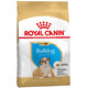Royal Canin BHN BULLDOG PUPPY granule pre šteňatá anglického buldoga 3kg