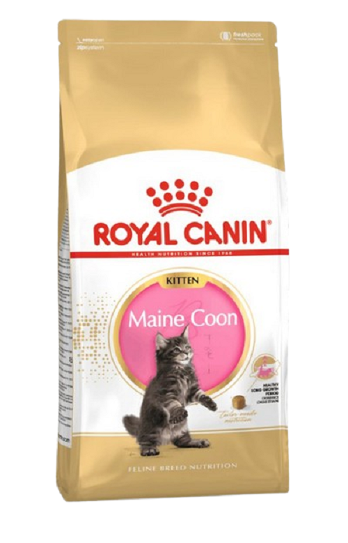 E-shop Royal Canin FBN MAINE COON KITTEN granule pre mainské mývalie mačiatka 10kg
