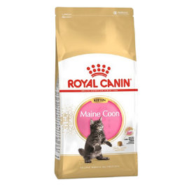 Royal Canin FBN MAINE COON KITTEN granule pre mainské mývalie mačiatka 10kg