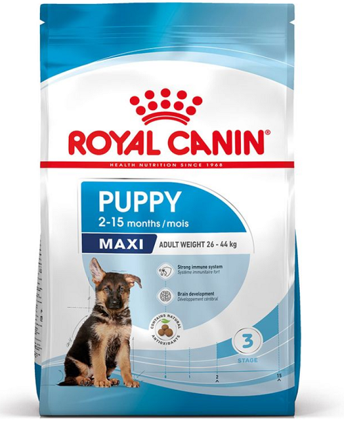 E-shop Royal Canin SHN MAXI PUPPY granule pre šteňatá psov veľkých plemien 4kg