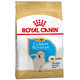 Royal Canin BHN GOLDEN RETRIEVER PUPPY granule pre šteňatá zlatého retrívera 12kg