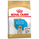Royal Canin BHN LABRADOR PUPPY granule pre šteňatá labradora 3kg