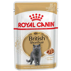 Royal Canin FBN WET BRITISH SHORTHAIR kapsičky pre britské mačky 12 x 85g