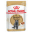 Royal Canin FBN WET BRITISH SHORTHAIR kapsičky pre britské mačky 12 x 85g