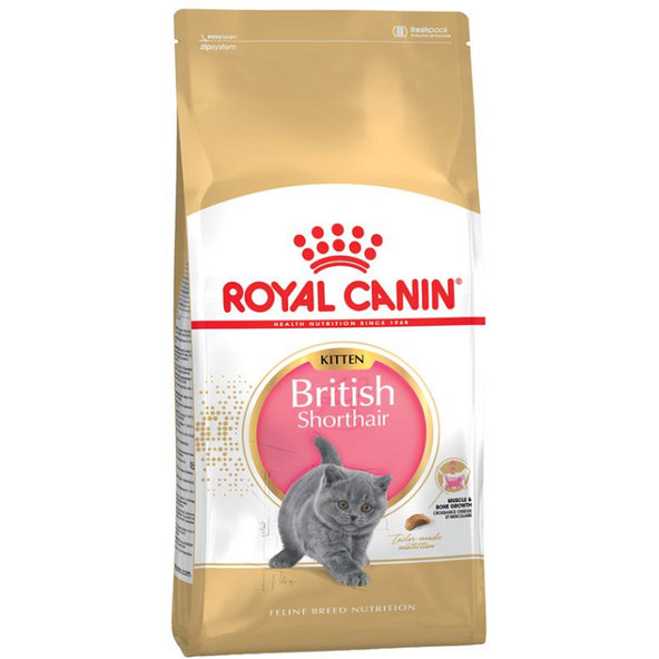 Royal Canin FBN BRITISH SHORT KITTEN granule pre britské mačiatka 2kg